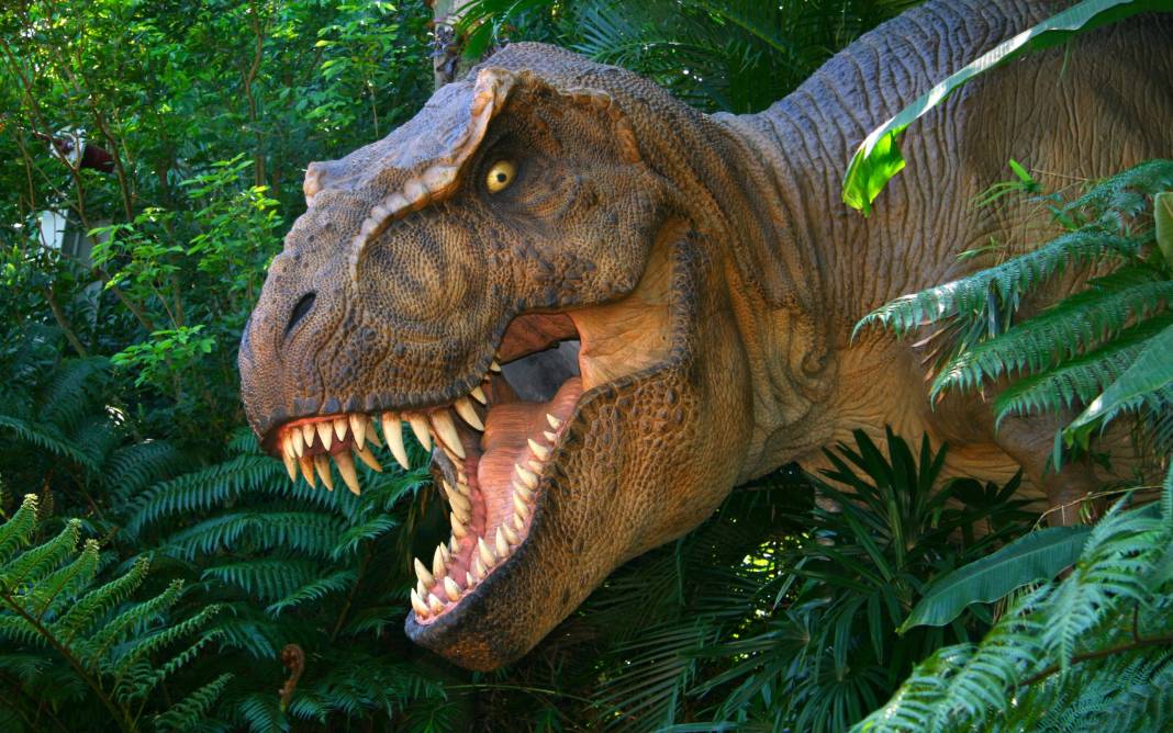 Dinozorlar geri mi dönüyor? Jurassic Park filmi gerçek mi oluyor 19